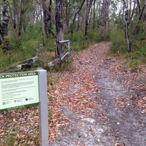 Dieback Sign