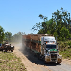 stock truck near Dunbar 