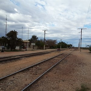 Cook Transcontinental rail camp