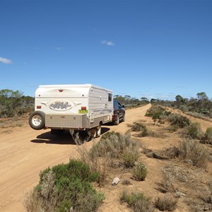 Following fenceline, nice and wide