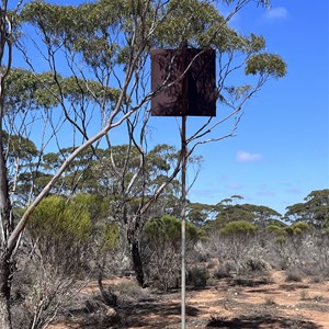 Bilbunya Dunes Turnoff