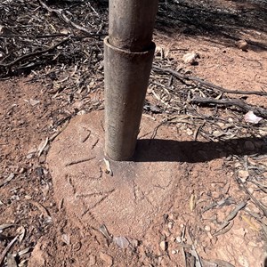 Bilbunya Dunes Turnoff