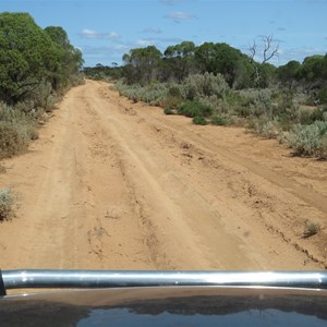 A dried up muddy section