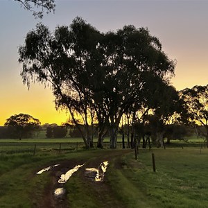 Tarlee Oval