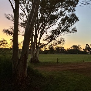 Tarlee Oval