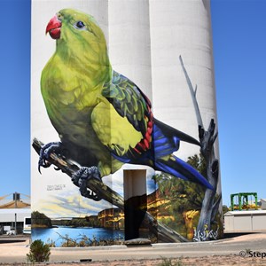 Waikerie Silo Art 