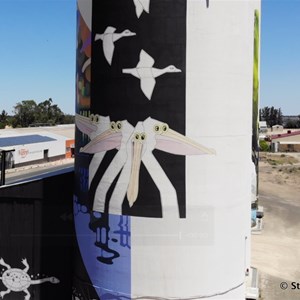 Waikerie Silo Art from the air