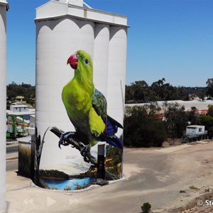 Waikerie Silo Art from the air