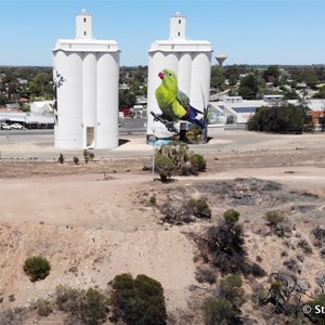 Waikerie Silo Art from the air