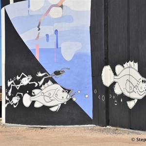 Waikerie Silo Art 