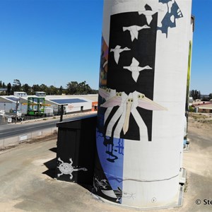 Waikerie Silo Art from the air