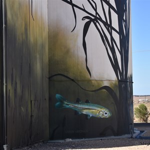 Waikerie Silo Art 