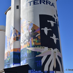 Waikerie Silo Art 