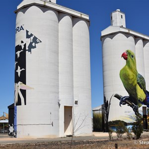 Waikerie Silo Art 