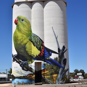 Waikerie Silo Art 