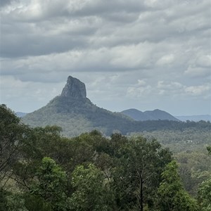 Glass  House Mountains Lookout
