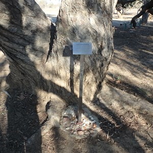 Sydney John Reynolds gravesite