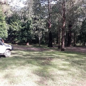 Diggings Campground
