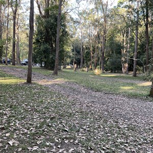 Diggings Campground