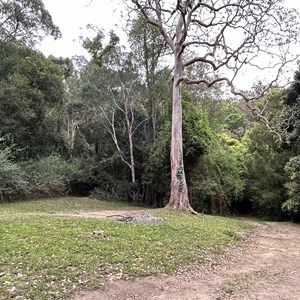 Diggings Campground