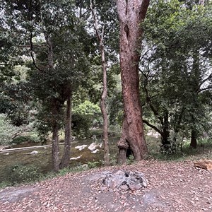 Diggings Campground