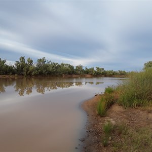 Wilson River camps