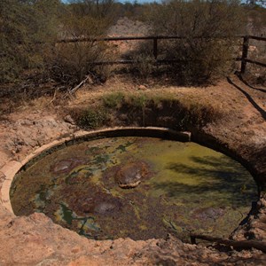 Tin Hill Tank