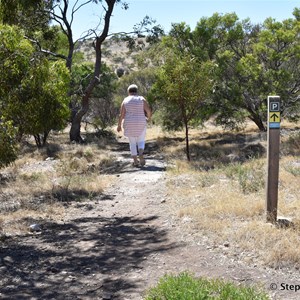 Start of Marino Conservation Park Botanical Walk