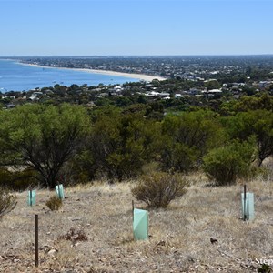 Views of the coastline from the Lighthouse walk