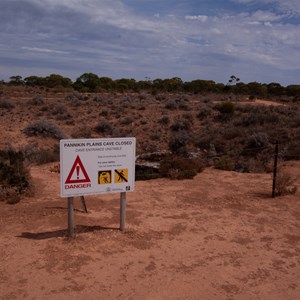 Pannikin Plains Cave