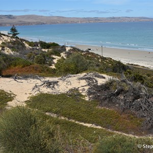 Aldinga Scrub Conservation Park Lookout 