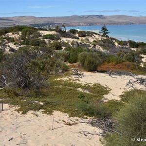 Aldinga Scrub Conservation Park Lookout 