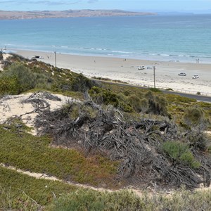 Aldinga Scrub Conservation Park Lookout 