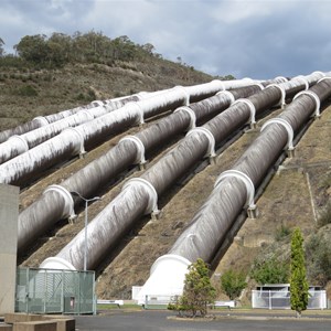 Black algae on pipelines