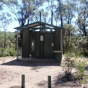 Toilets appear to be well maintained