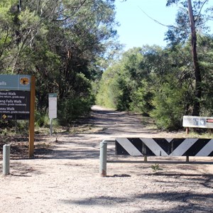 Start of the walk to the Kanangra Walls Lookout