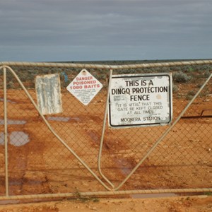 Dog fence and gate - Haig to Cocklebiddy Track
