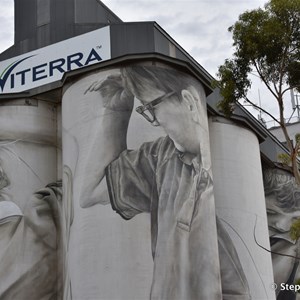 Coonalpyn Silo Art 