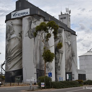 Coonalpyn Silo Art 