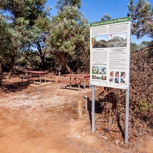 Picnic tables but no camping