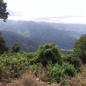 Mt Allyn lookout