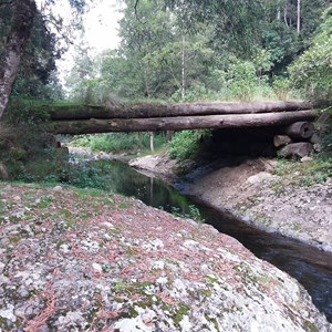 Allyn River bridge