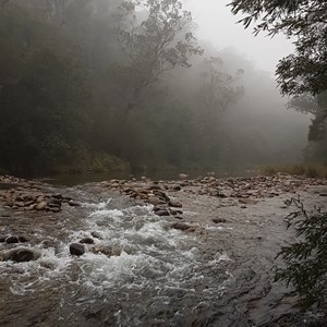 Swampy Plains River in the morning mist