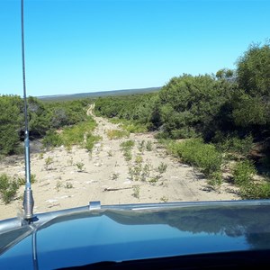 Overgrown track - sandy/limestone