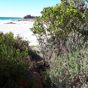 Castle Bay Beach & Picnic Area