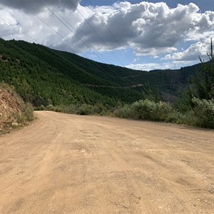 Tower Hill Lookout