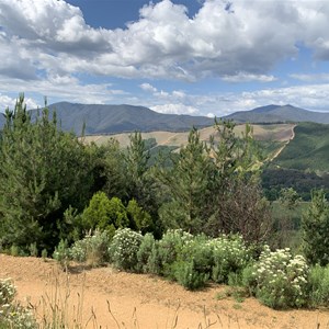 Tower Hill Lookout