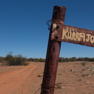 Kurrajong