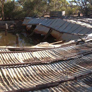 Eenuin Tank