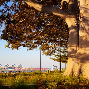 View of Busselton Jetty from the foreshore area